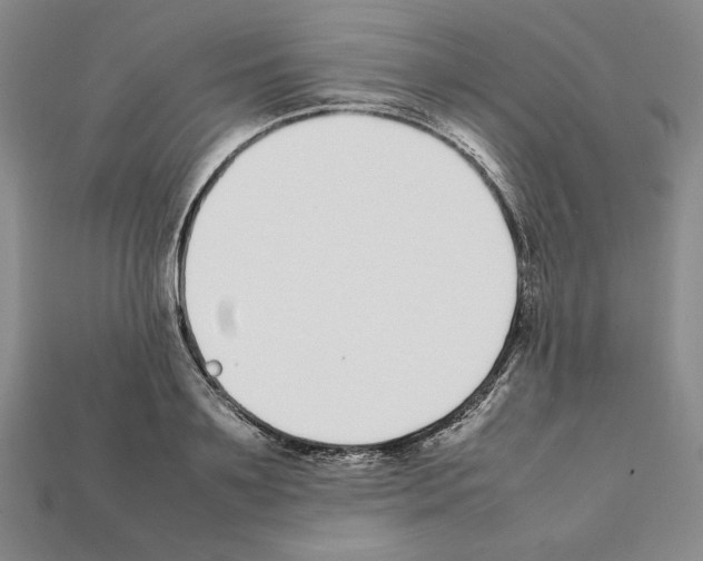 X0000112040891200909141115