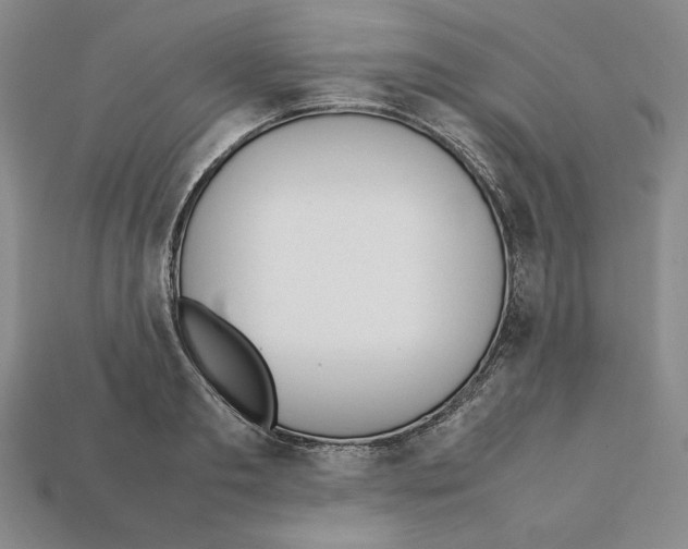 X0000112040893200909141115