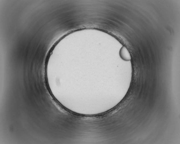 X0000112040894200909141115