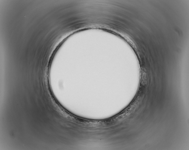 X0000112040895200909141115