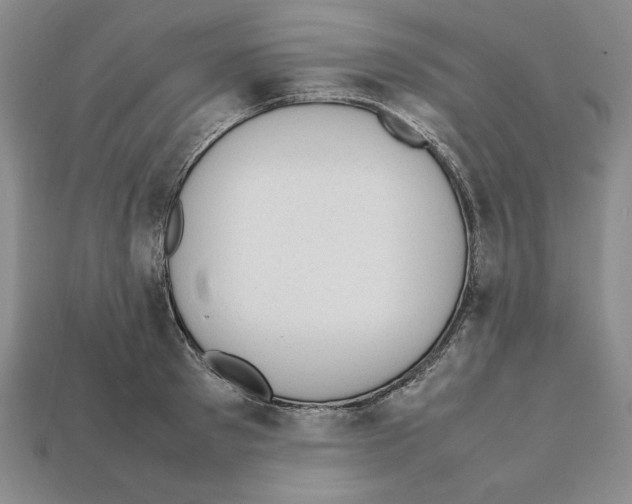 X0000112040897200909141115