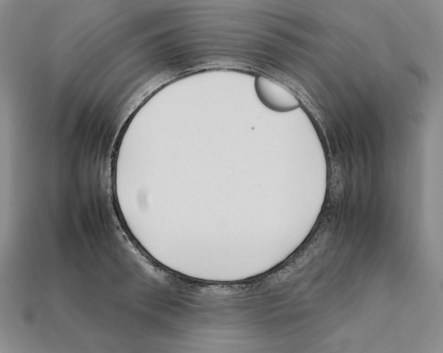 X0000112040898200909141115