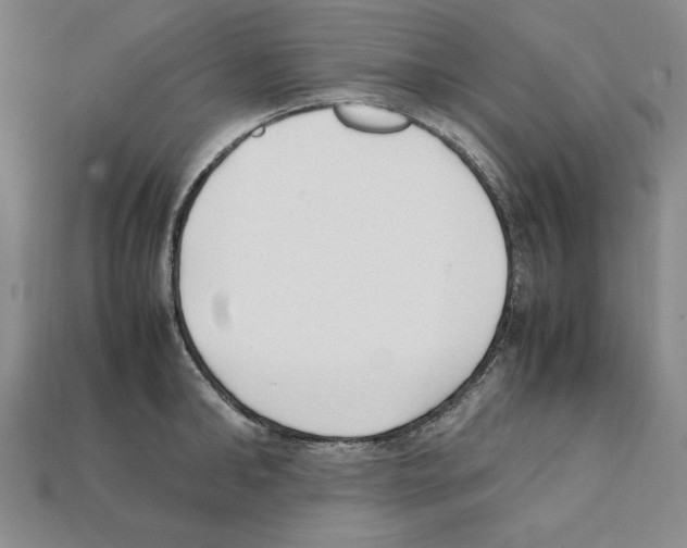 X0000112040902200909141115