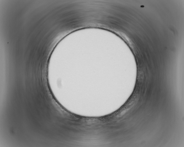 X0000112040903200909141115