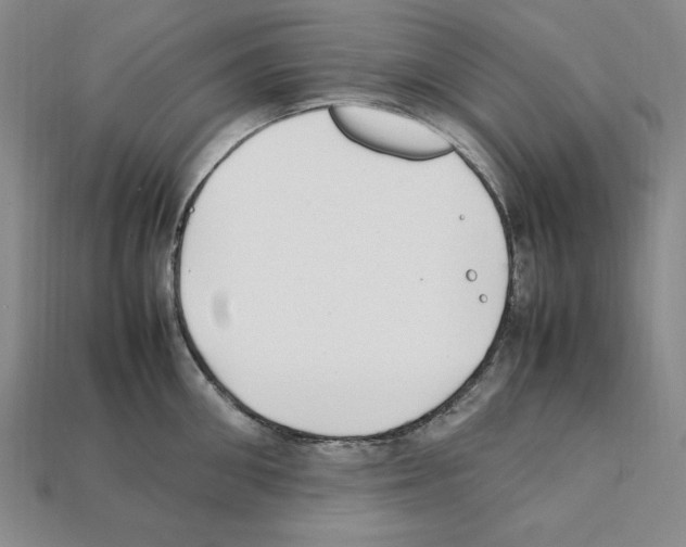X0000112040906200909141115