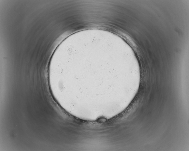 X0000112040907200909141115