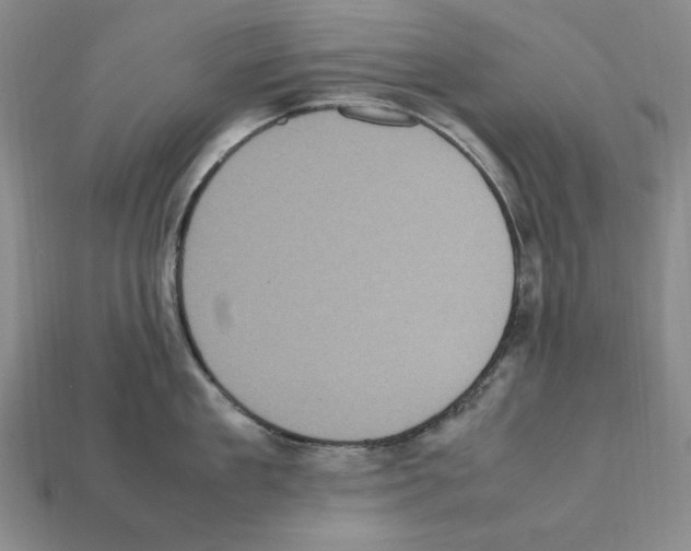 X0000112040909200909141115