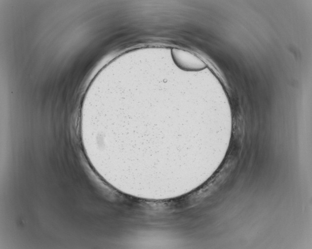 X0000112040911200909141115