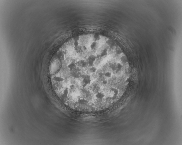X0000112040913200909141114