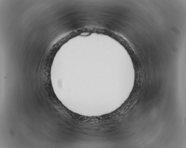 X0000112040919200909141114
