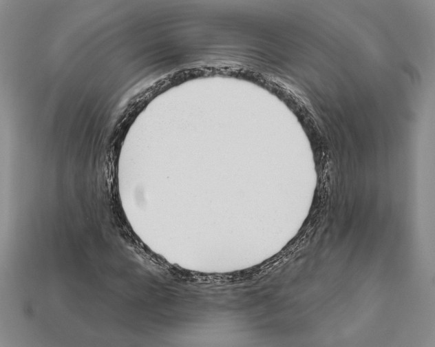 X0000112040920200909141114