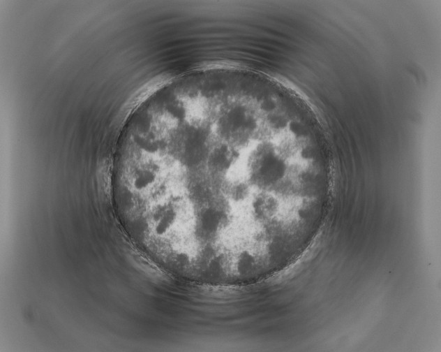 X0000112040921200909141114