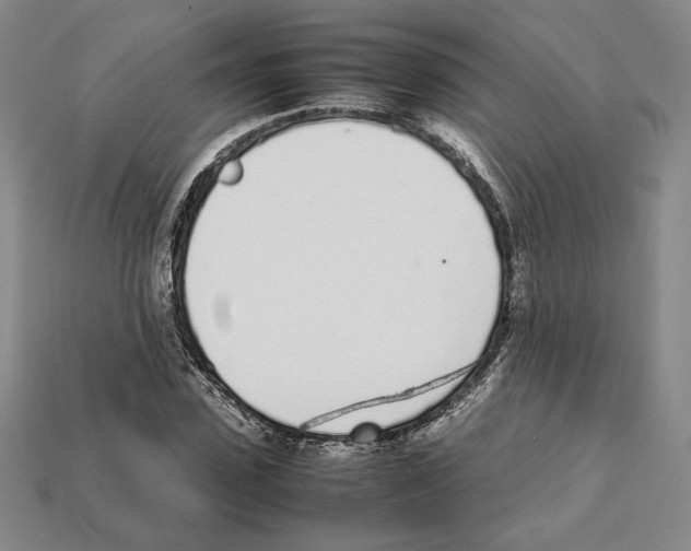 X0000112040923200909141114
