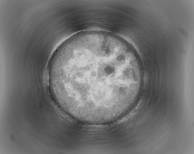 X0000112040925200909141114
