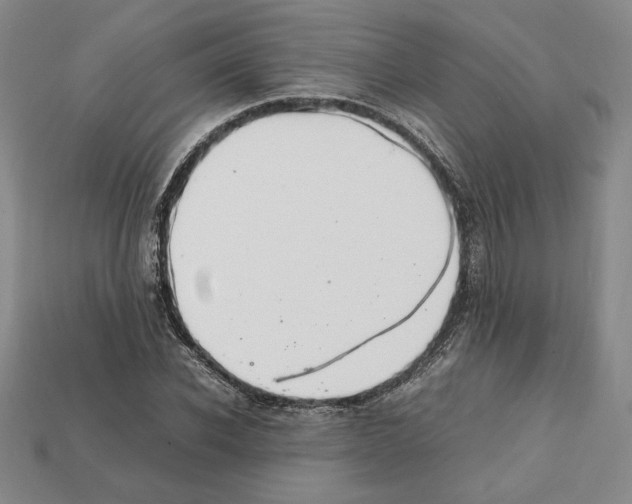 X0000112040926200909141114