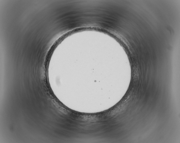 X0000112040927200909141114