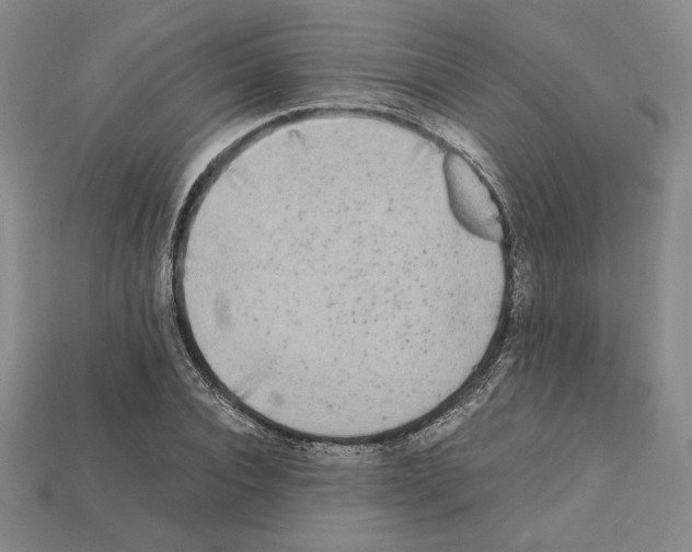 X0000112040928200909141114