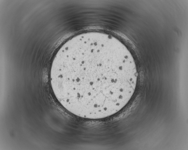 X0000112040929200909141114