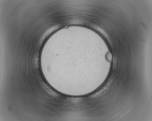 X0000112040930200909141114
