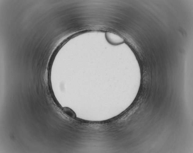X0000112040932200909141114