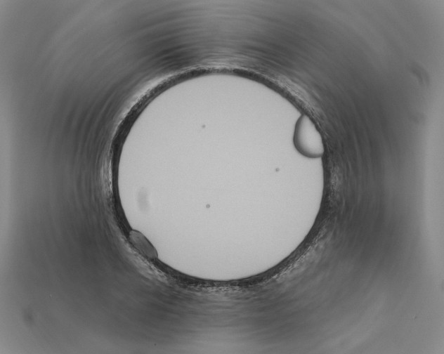 X0000112040934200909141114