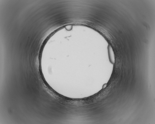 X0000112040936200909141114