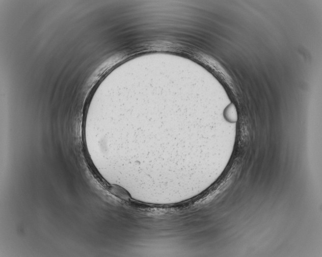 X0000112040938200909141114
