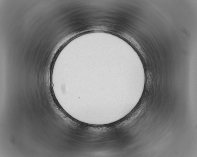 X0000112040939200909141114