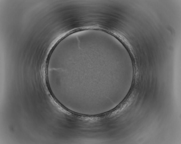 X0000112040941200909141114