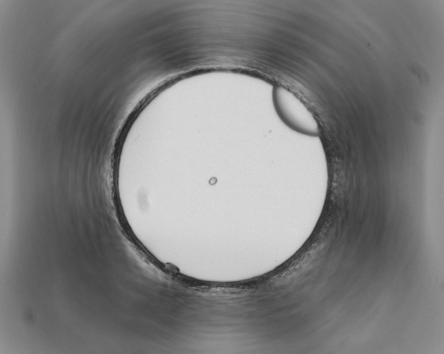 X0000112040942200909141114
