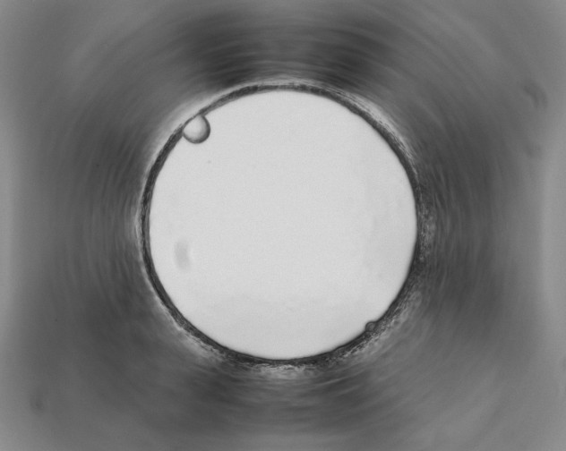 X0000112040943200909141114