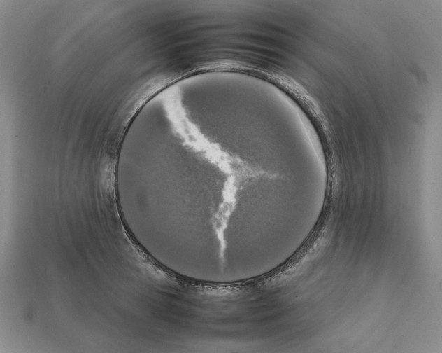 X0000112040945200909141114