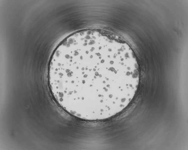 X0000112040948200909141114