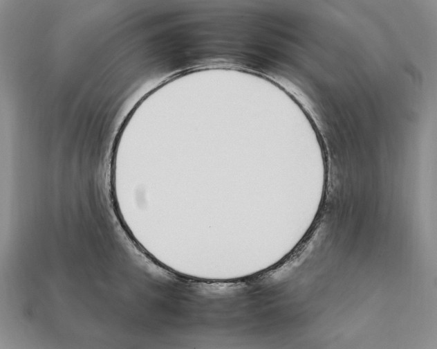 X0000112040949200909141114