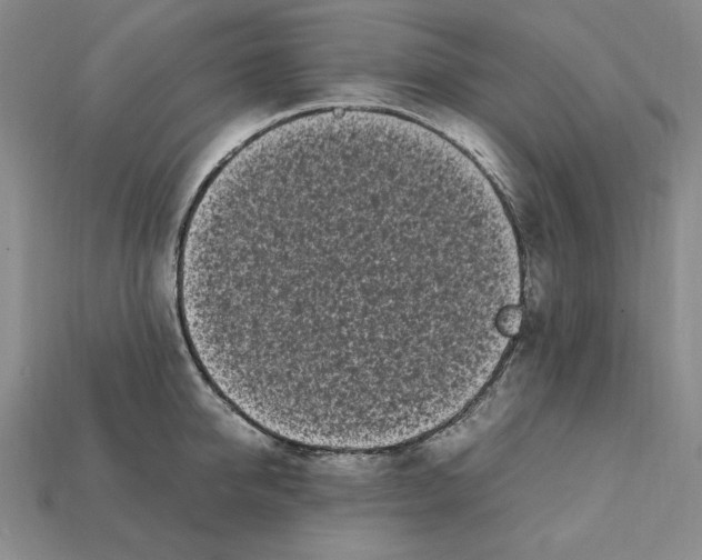 X0000112040950200909141114