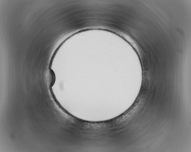 X0000112040951200909141114