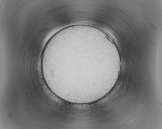 X0000112040952200909141114