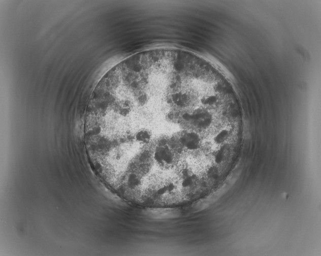 X0000112040953200909141114