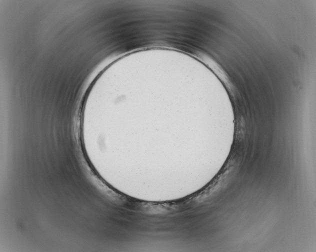 X0000112040955200909141114