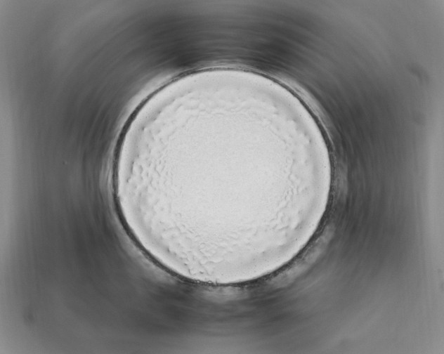 X0000112040957200909141114
