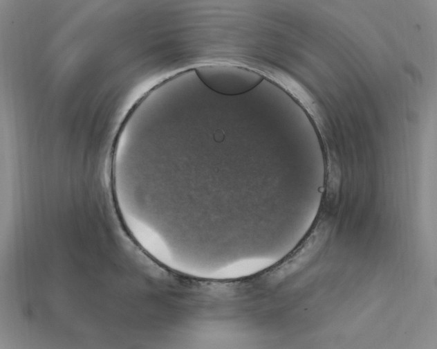 X0000112040958200909141115