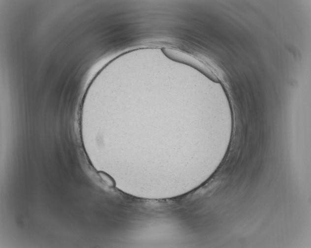 X0000112040960200909141115