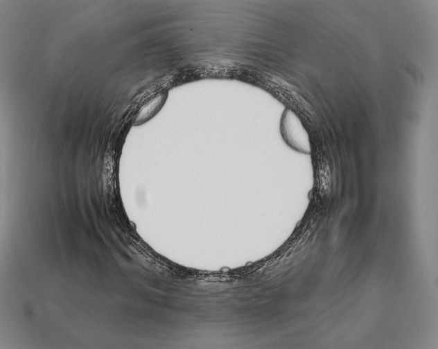 X0000112040964200909141114