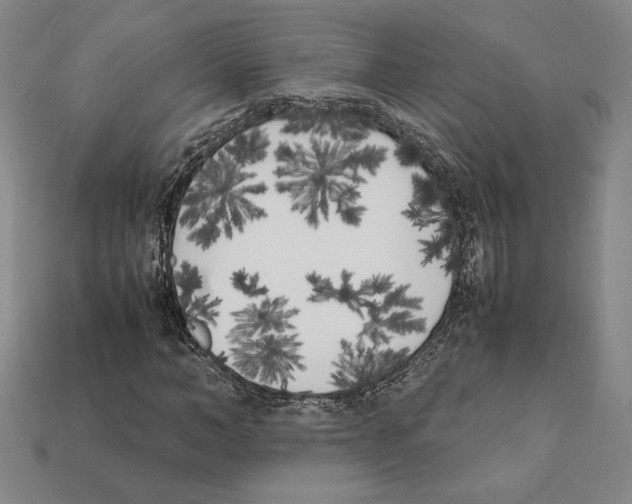 X0000112040966200909141114