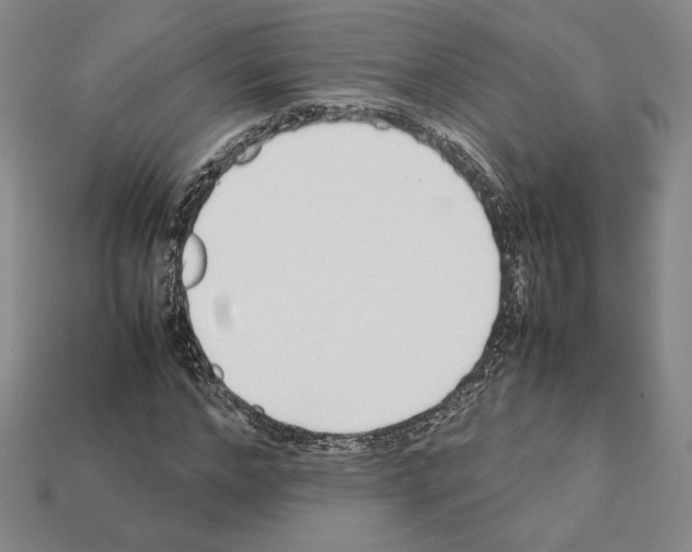 X0000112040968200909141114