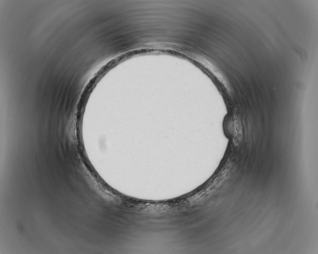X0000112040972200909141114