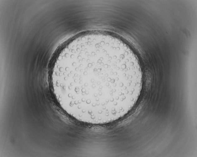 X0000112040974200909141114