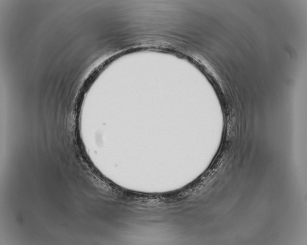 X0000112040975200909141114
