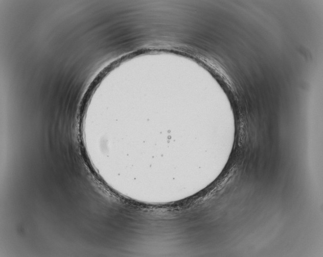 X0000112040976200909141114