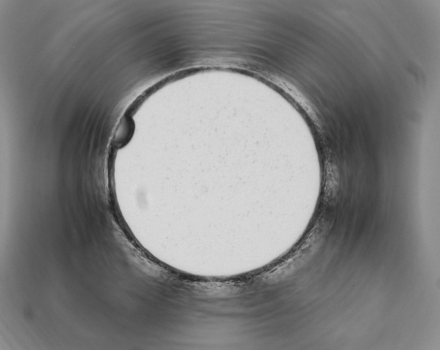 X0000112040980200909141114